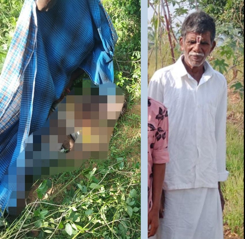 65-yr-old farmer killed by leopard in Hanur